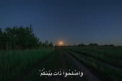 #محمد_صديق_المنشاوي #المنشاوي #quran #fyp #🎧 
