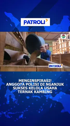 Patut ditiru nih, semoga lancar ya pak usahanya💪 #patroliindosiar #newsindosiar #patroli #fypdong #fypage #fypシ #viral #trending #beritatiktok #fyp #berita #beritahariini #beritaviral