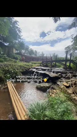 rpတောင်မပြန်တော့ဘူးရယ်😊😌#crdစာသား #fyp #foryou #foryou #foryoupage #fypシ゚ #fyppppppppppppppppppppppp 