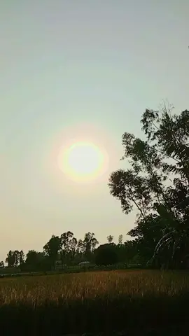 ### যে থাকার যে থাকবে আর যে যাওয়ার সে অনেক অজুহাত দেবে 🥺🥺🥺