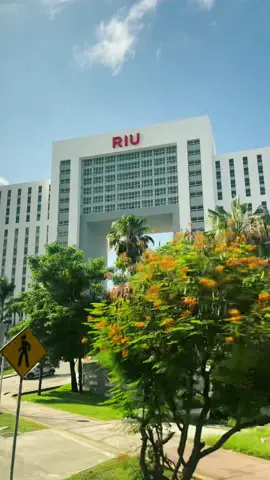 Travel UGC Example @riuhotels #riuhotels RIU Palace Penisula in Cancún 5⭐️ Luxury Hotel. Simply incredible 👌🏼☀️ Looking for UGC Travel content for your hotel? Reach out today! #ugccreator #ugcuk #ukugc #ugcexample #traveltiktok #travelugc #mexico #ugccommunity #ugcexamplevideo #cancunmexico #riuhotelsandresorts #riulovers 