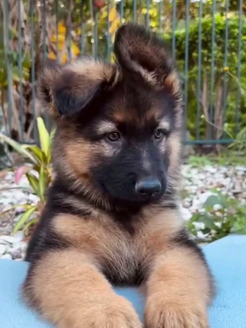 Following comptes, follow me, follow you back, abonne toi, je m'abonne en retour. #following #follow #me #you #biggestfan 