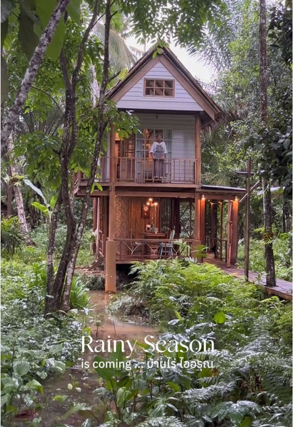 Rainy season is coming 🌧️ … ฤดูฝน มาถึงบ้านไร่แล้วค่ะ เย็นชุ่มฉ่ำทุกวันไปเล้ยยยย 🩵 #บ้านไร่ไออรุณ #baanraiiarun #farmstay #goodvibes #rainny #rainyday #บรรยากาศชิวๆ #goodtimes #vibes #ฤดูฝน #ฝนตก #ชุ่มฉ่ํา #ที่พัก #ที่พักระนอง #resort #local #ระนอง #ranong #thailand #rainseason 