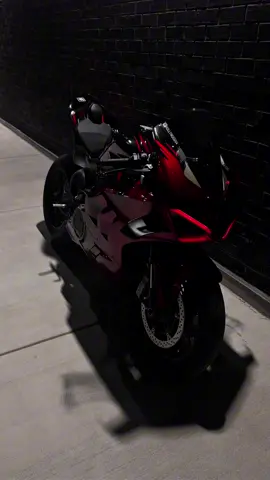 🦆 #ducati #motorcycle 