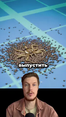 А вы боитесь пауков? #интересныефакты #паук #пауки #интересное 