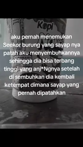 ini bukan soal burung 😄#fyp #fyppppppppppppppppppppppp #fyppppppppppppppppppppppp #sadgirl 