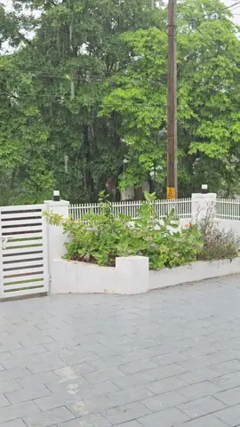 There’s nothing quite like the monsoon in Kerala — utterly beautiful.