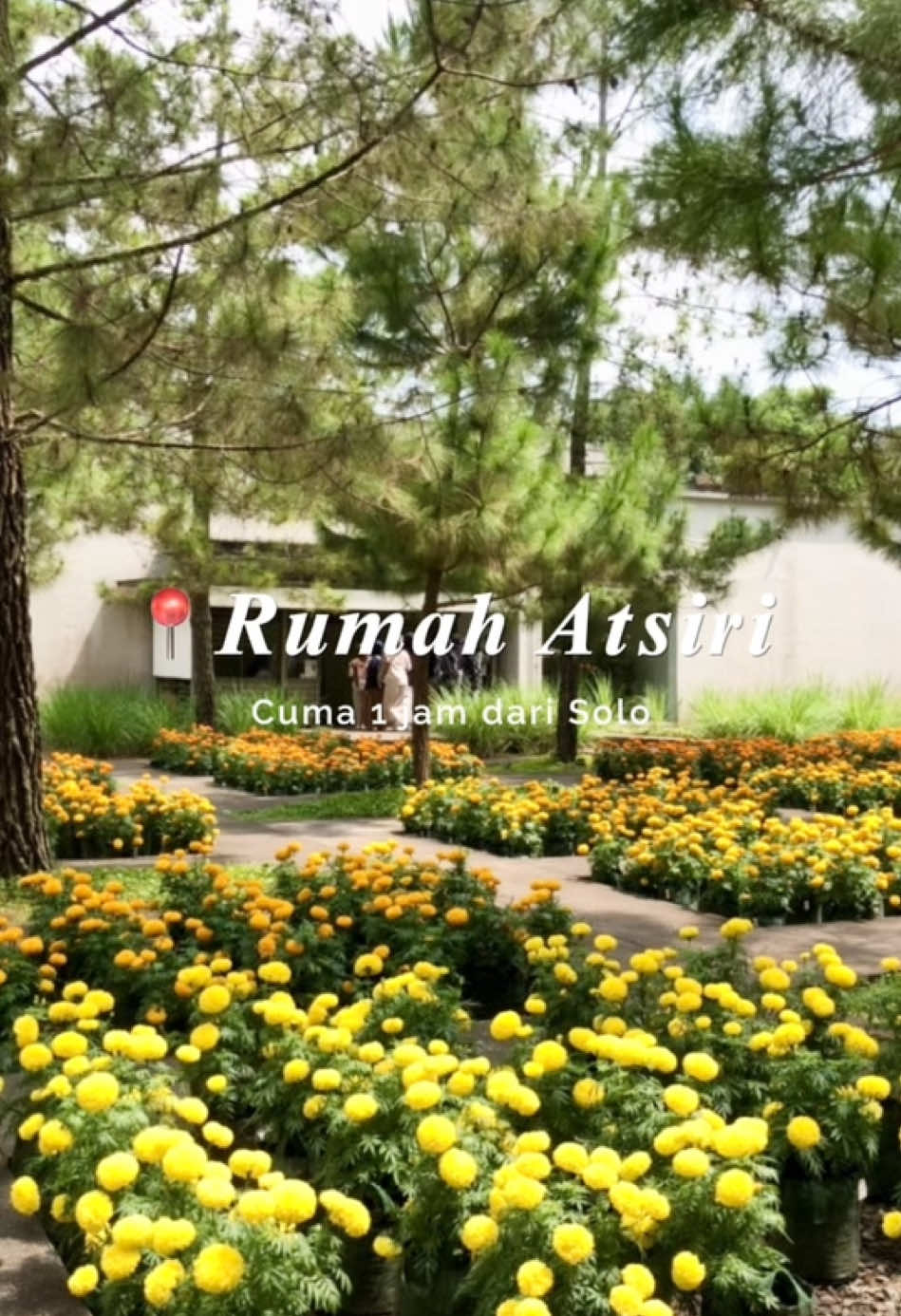 Minimal seumur hidup sekali harus kesini🌼 #fyp #rumahatsiri #solo #tawangmangu #exploresolo #wisatasolo #wisatatawangmangu 