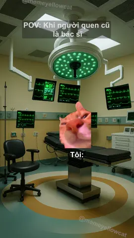 Khi người quên cũ của tôi là bác sĩ#catsoftiktok #funny #memecats