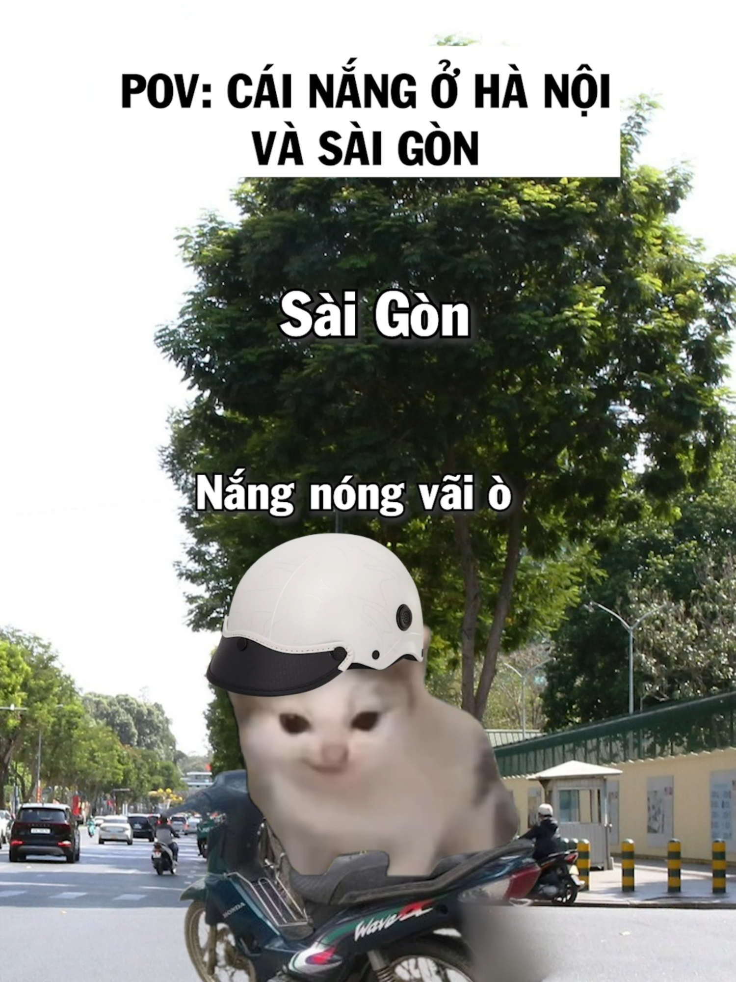 Nó vừa oi nó vừa .... #foryou #meme #fyp #j4f #cat #nupgamgiuong #funny
