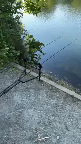 Fishing #fyppppppppppppppppppppppp #fishinglife #fishing #patience #depressionanxiety #MentalHealth #fish #fisherman #lake #lakefishing 