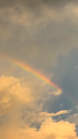 pelagi di langit senja #pelangi #pelangi🌈 #pelangipelangi #senja #senjasorehari #senja_story #senja_kata #story #storytime #sunset #sunsetvibes #langitaesthetic #keindahanalam #asesthetic #storykatakata #panorama #sky #nyore #pocox3pro #poco #tiktok #viral 