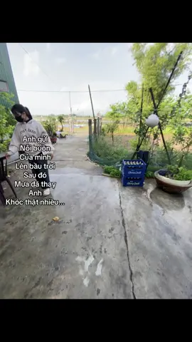 ☺️#suyngam #doisong #buon #tinhyeu #captham #caphay #doinguoi #76quangngai 