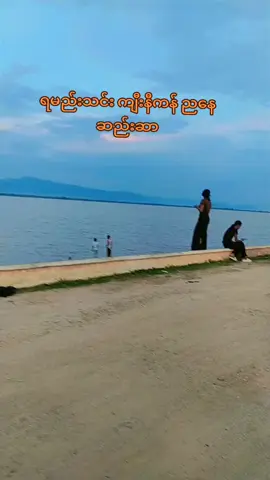 ရမည်းသင်း ကျီးနီကန် ညနေဆည်းဆာ#moots? #frypppppppppppppp #ဘဝတူညီကိုများဘေးကင်းပါစေ #ကားဆရာညီကိုများအားလုံးဘေးရန်ကင်းပါစေ #အကောက်သစ်လေးပါဗျ 