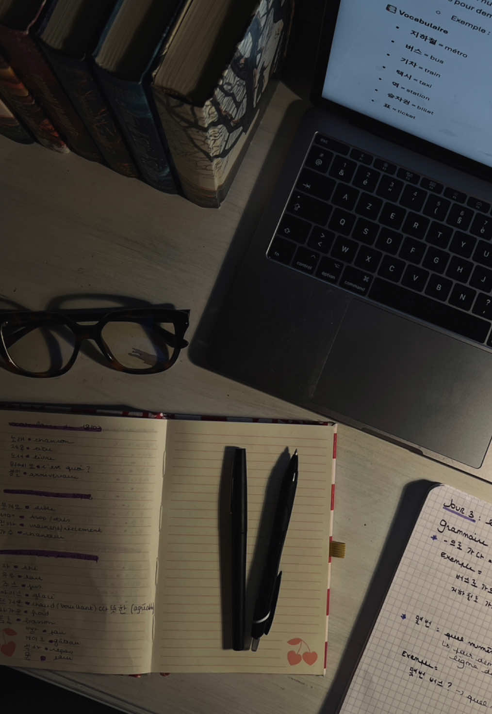 👩🏼‍💻🤍 — for my study girlies out there, study for your own future and success.  🔖 : #studytok #studymotivation #studydiary #etudiant #languagelearning #studydiary #koreanlanguage #productivity #studentlife #studywithme #studyvlog #asmrtok #révision #academicsuccess #consistent #howtostudy 