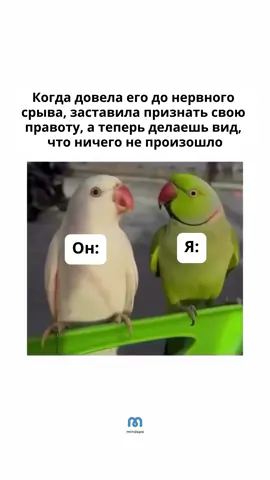Твой карманный психолог @mindspa_ru🫶🏻