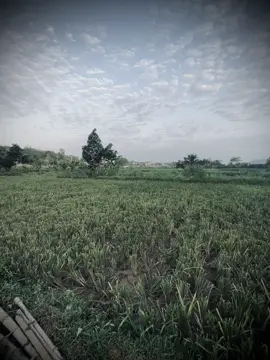 “你就是我回家的路，无论我去哪里，我的最终目的地永远是你。” “Em là lối về của anh, dù có đi đến nơi đâu, bến đỗ cuối cùng của anh sẽ mãi là em..!