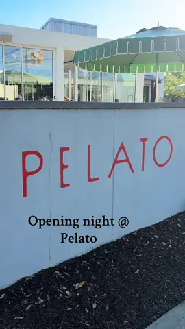 Last night at Pelato in Charleston!! Highlyyyy recommend the Arancini and Radiatori Vodka ♥️ #restaurantopening #italian #brooklynitalian #foodreviews 