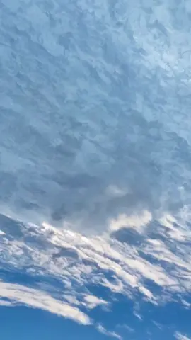 Con nước lững lờ trôi.. #miềntây #lùn #quêtôi #fypシ゚ #canhdep #ngãtư #fyp 