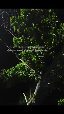 မေတ္တာပေးလို့ မေတ္တာပြန်ရရင်ဘဲတော်ပါပီ 🙂#feel #tiktokuni #👀 #fypシ゚ #feelစာသား🥀 #စာတို 