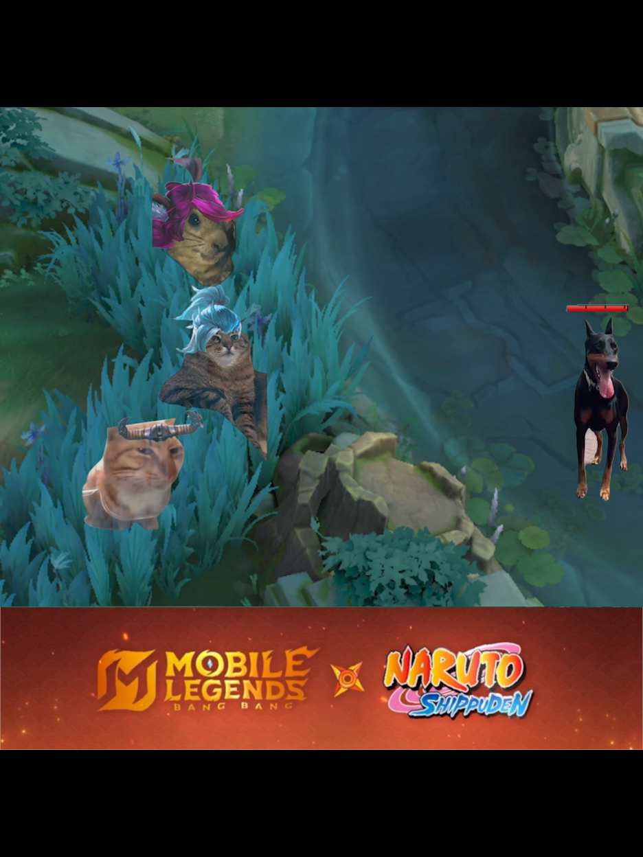 malah ke gw #MLBBxNARUTO #MLBB #MobileLegendsBangBang  #mlbbmemes #mlbbkucing #mlbbcat 