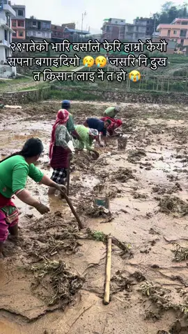 बर्सभरि खाउला भनेर गरेको दुखको फल सबै माटोमै हरायो 😭 खान पुग्ने सम्म त भेटिएला कि भन्ने आशले आलु खोज्दै हामि#creatorsearchinsights बाढिपिडित #krishi #kishan 