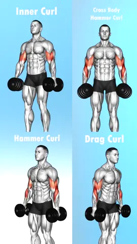 #exercises #Bodybuilding #بناء_عضلات #تمارين_رياضية #تمرين_منزلي #كمال_الاجسام #تمارين_بطن #الكيف_البناوي #اعادة_النشر🔃 #اكسبلورexplore #تصميم_فيديوهات🎶🎤🎬 #مجرد________ذووووووق🎶🎵💞 