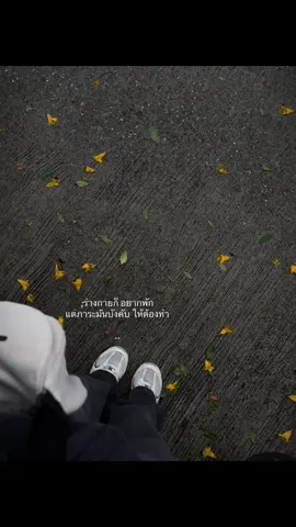 #เธรด #เธรดคําพูด #เธรดความรู้สึก ✌🏻🍁
