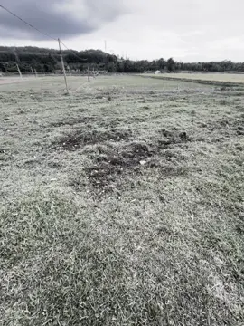 懂得照顾花草才会开花生长良好，别再照顾和种植野花园了！Biết chăm hoa sẽ nở cây sẽ xanh tốt, ngưng chăm ngưng trồng mảnh vườn hoang ! #xuhuong #xh #fpy #tamtrang #chill #ngocan❄️ 
