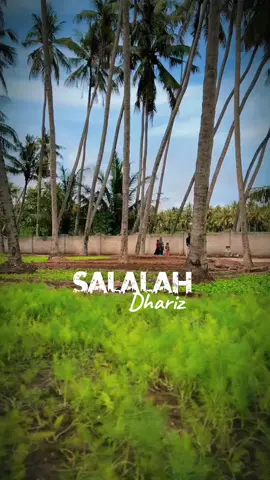 #oman🇴🇲 #salalah #nature #kerala 