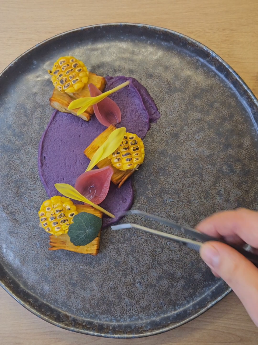Plating🙂 @MicroWorldbyTabori  @Manilia_vanilia  @bobovinegretgmail.com  @Yes Superfood  #steak #steaktiktok #finedining #magyartiktok #cuisine #athome #otthon #plating #platingfood 