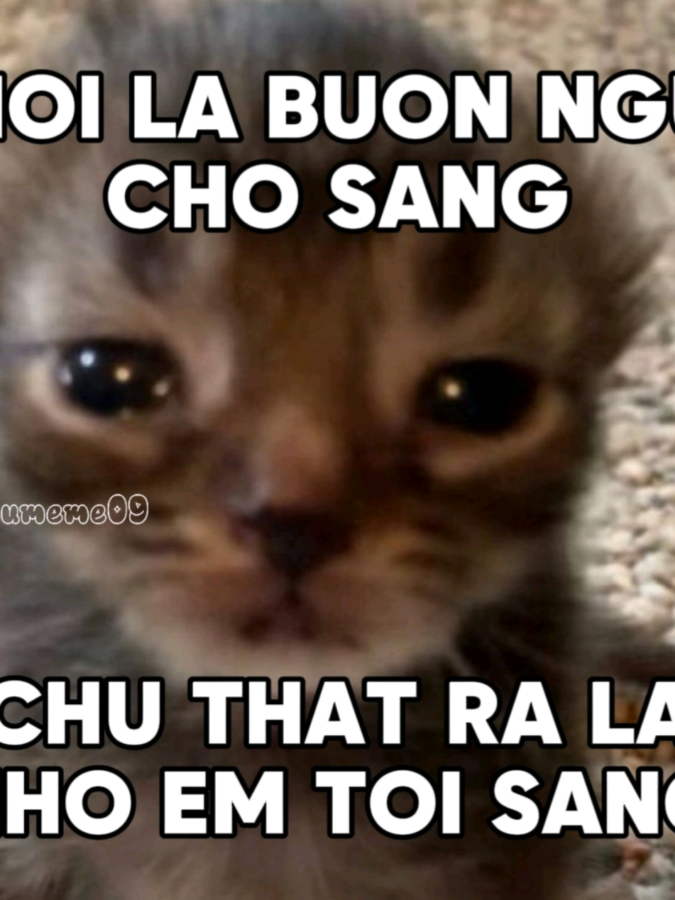 NOI LA BUON NGU CHO SANG=))  #viral #fyp #xuhuong #emlathienthan #nhachaymoingay #hieumeme09 