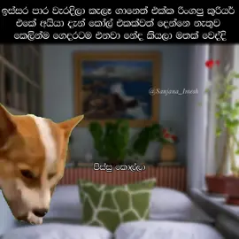 Pissu kolla dn kiyanneth natuwa enne 🥹♥️ just for fun 💗 #creatorsearchinsights  #sanjanaimesh #funnyvideos #memes #whatsappstatus #thekota #srilankan_tik_tok🇱🇰 #foryoupage 