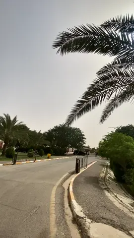 #جامعة_تكريت#رئاسه_جامعه_تكريت 