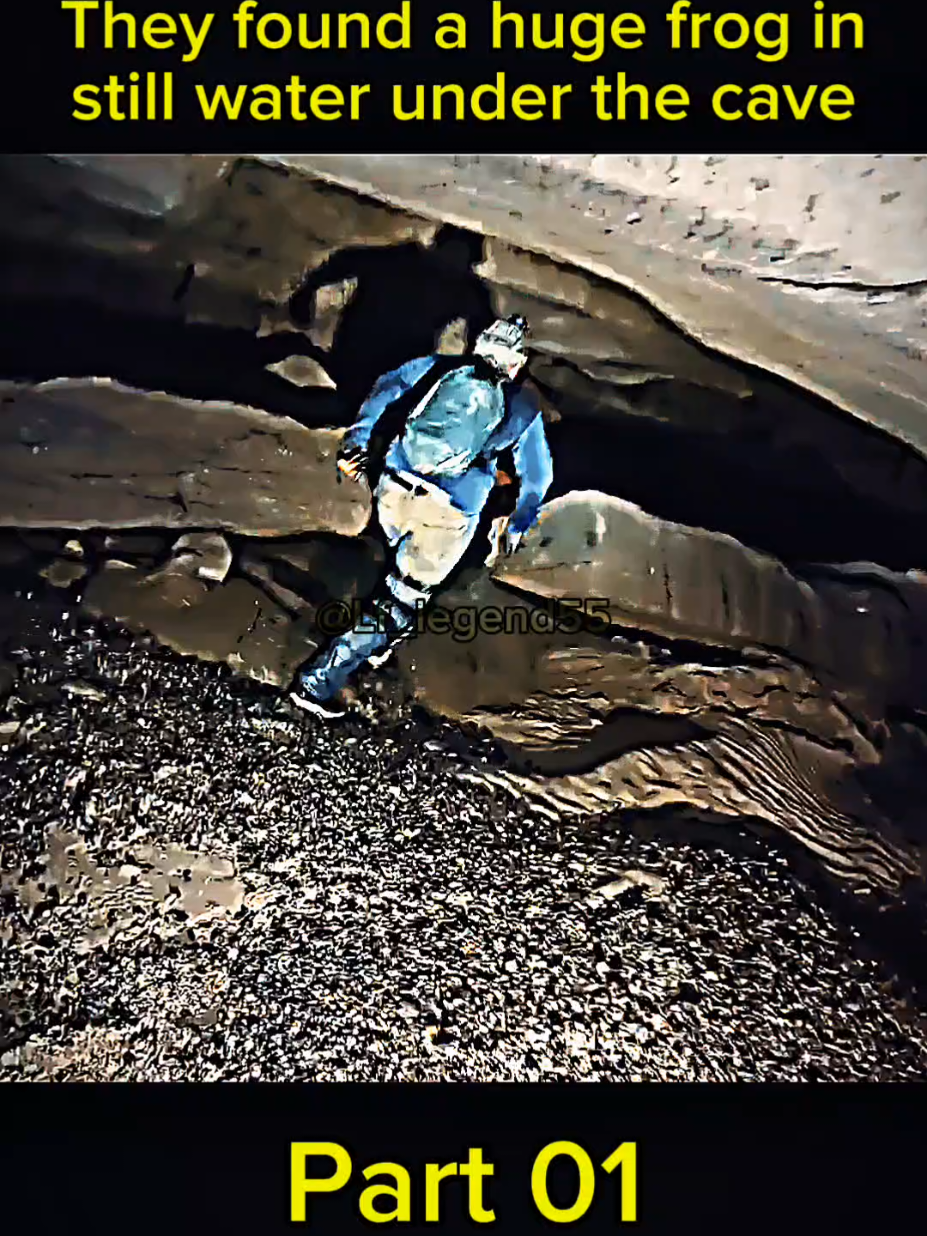 They found a huge frog in still water #explore #tunnel #cave #discover #terrifying #stillwater #found #frog 