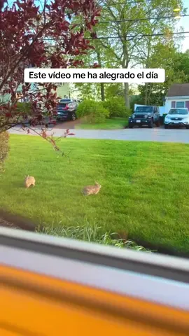 Para nosotros es un video bonito, para ellos la última batalla  @colbyirv 