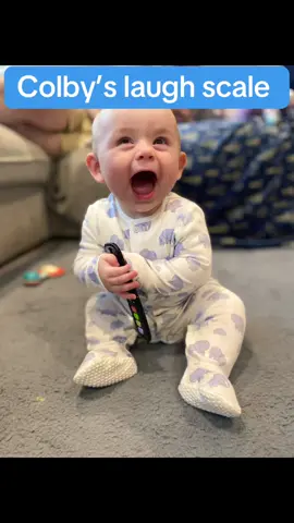 Wait for the end chuckle 🥹 I had so many people asking to hear colbys laugh… well there’s a fair few 😂  #babylaugh #babiesoftiktok #happybaby  #babyboy #firsttimemom #tiktokbaby #babytiktok #fyp 