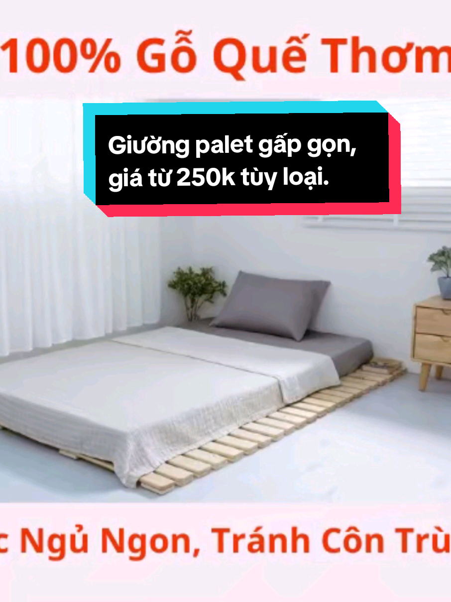 Giường pallet giường cuộn Nhật bản, Giường ngủ gấp gọn,chất liệu gỗ Quế Thơm,nhiều kích cỡ, an toàn cho sức khỏe. Giá giảm từ dưới 250k tùy kích cỡ. Nhấp giỏ hàng để xem chi tiết và áp mã giảm mua hàng trước khi về giá gốc nha.  #giuongpalet #giuongngu #giuonggapgon #kietnoithatso1 #xuhuong #xuhuongtiktok #xuhuong2025 