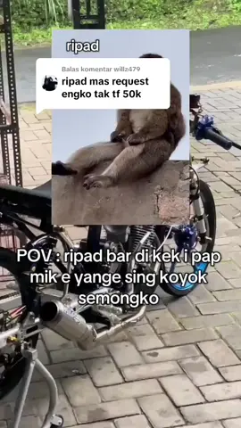 Membalas @willz479done ya kak di tunggu tf nya 🙏😁😁😁#herekjatim #keceabissssss🥵😎 #tiktok #fyppppppppppppppppppppppp 