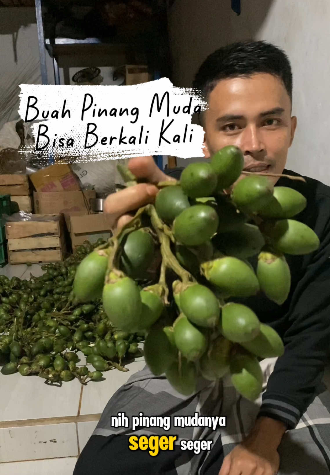 Buah pinang muda bisa berkali kali 😁 #pinang #pinangmuda #buahpinang #buahjambe #buahpinangmuda #stamina #kukuring 