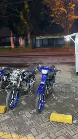 BIRU STECUU 🟦 #royyy #berkahtraktor_co #mpprimus #vndkzr #kontenviral 