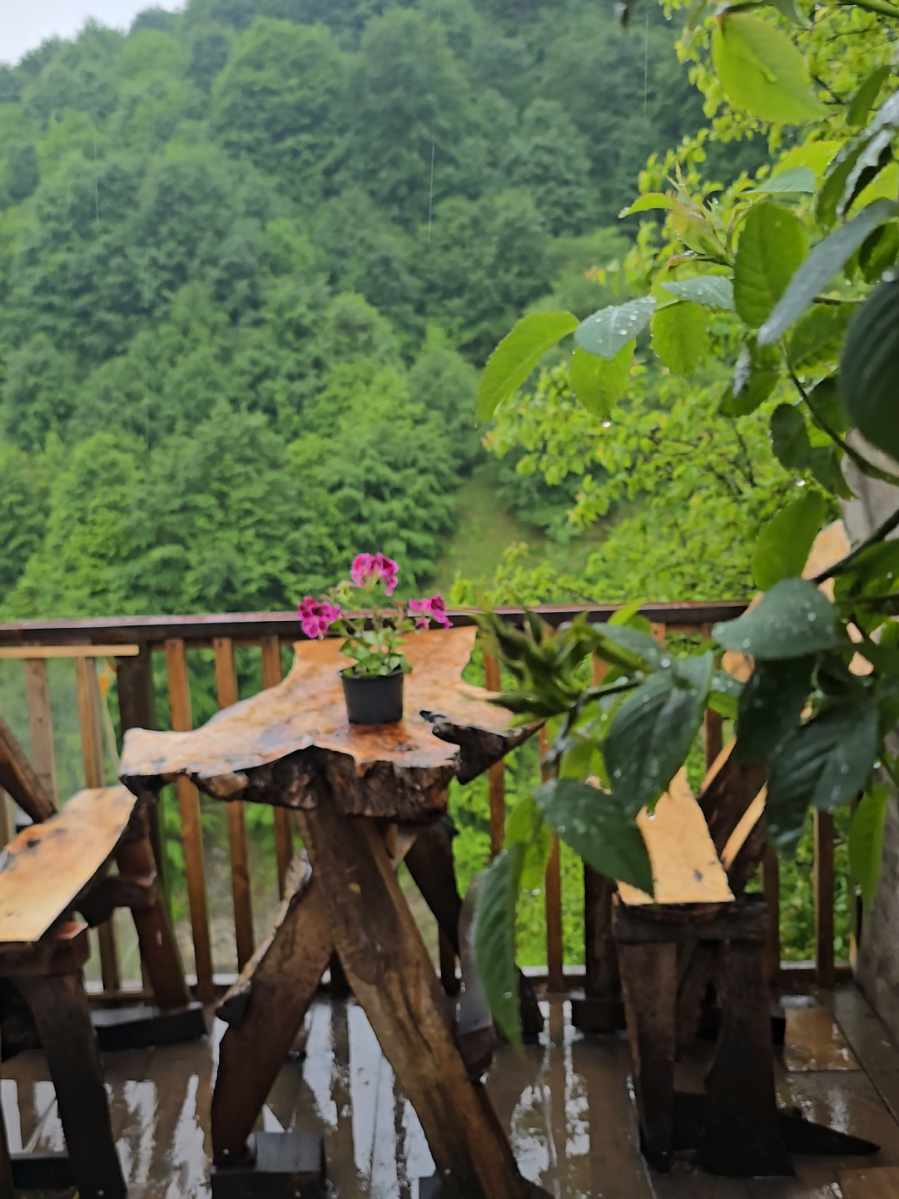 Sizcə videoya gözəllik qatan nedir? Musiqi,yağış,,? 🎶☔️🌧 📽Video @terlanmaxmudov 🦅 #lazaqartali #yagis #musiqi #menzere #rain #duman #karadenizşarkıları #karadeniz #kesfetedüş #kesfetteyiz #qabala #baku #azerbaycan #lazaqebele 