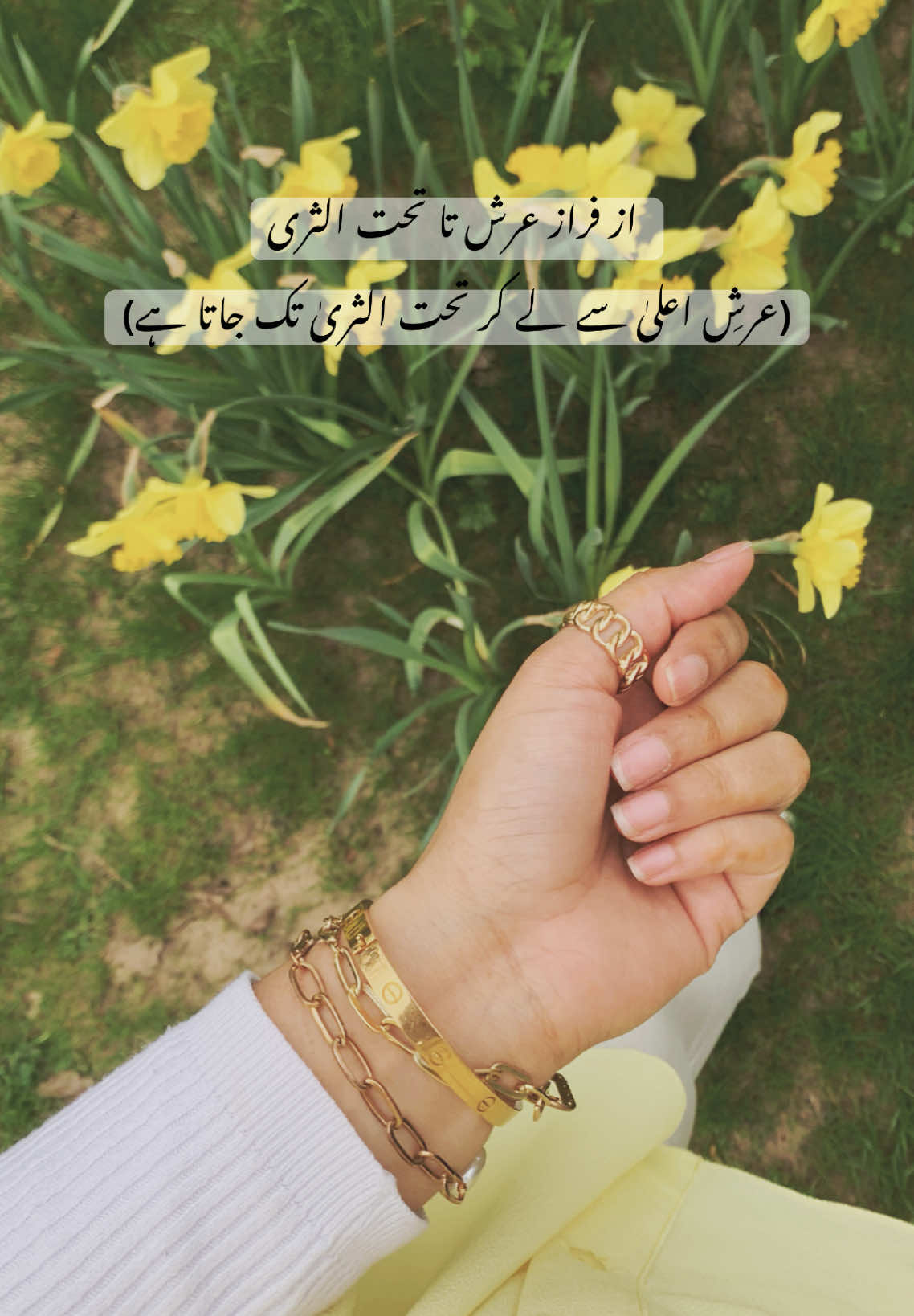 Nostalgia hit HARD after listening to this again.🥹✨🌸 #nostalgia #purenostalgia #trending #viraltiktok #fypシ゚ #foryoupageofficiall #persian #persianpoetry 