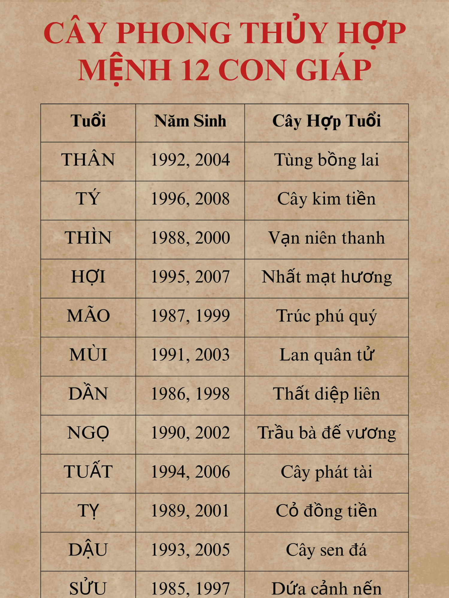 Cây phong thủy hợp mệnh 12 con giáp  #tuvi #phongthuy #tamlinh #tuvi2025 #cayphongthuy #tailocmayman #tuvi12congiap #tuvihangngay #leanontiktok