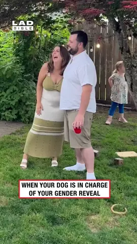 The dogs preparing him for the sibling life 🤣 (🎥: IG/ indyyellowlab x liajeanine) #ladbible #funnyvideos😂 #toddlers #kidsoftiktokfunny #dogsoftiktok #fails #genderreveal