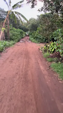 Chưa kịp hỏi j mà quân nó đông quá🤣🤣