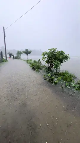সাবর কি মনে আছে  নাকি বুলে গেছেন 😔 ভয়াবহ বন্যার কথা🥲