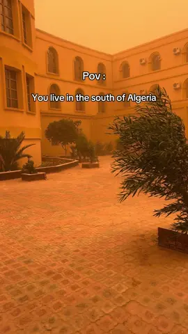 #algeria#dz#video#vibes#morocco 