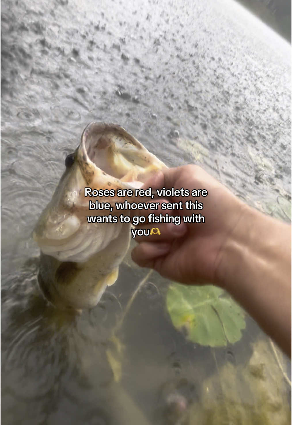 Wanna go? #fishing #fishtok #fup #foryou #fishinglife #fishingtiktoks 