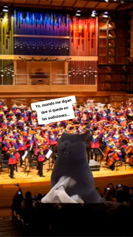 que harán ustedes?? los leo... #musica #music #orquesta #audicion #sistema 
